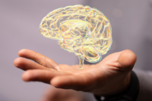 A 3D render of a holographic digital style human brain